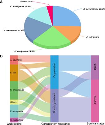 Epidemiology, antimicrobial resistance, and mortality risk factors of carbapenem resistant gram-negative bacteria in hematopoietic stem cell transplantation recipients